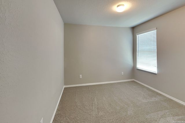 2431 Pechora Pipit, New Braunfels, TX 78130