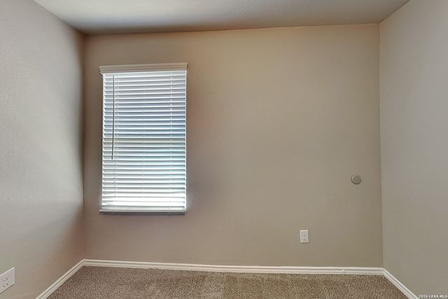 2431 Pechora Pipit, New Braunfels, TX 78130