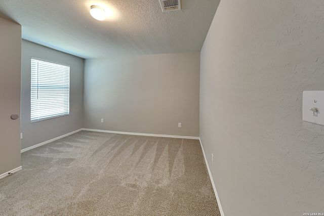 2431 Pechora Pipit, New Braunfels, TX 78130