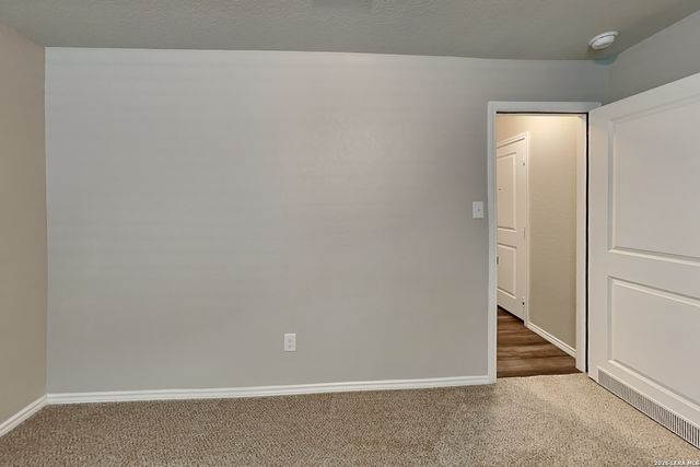2431 Pechora Pipit, New Braunfels, TX 78130
