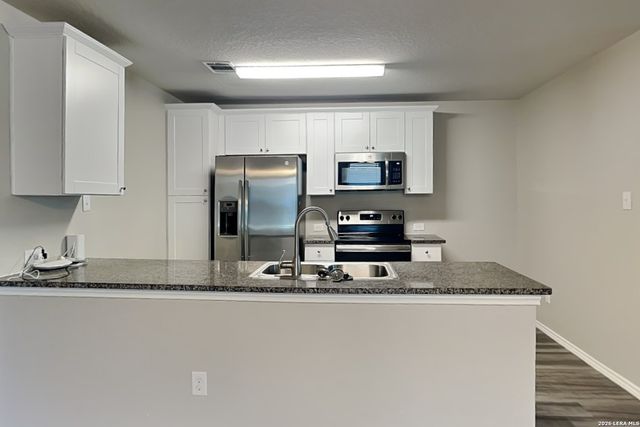 2431 Pechora Pipit, New Braunfels, TX 78130