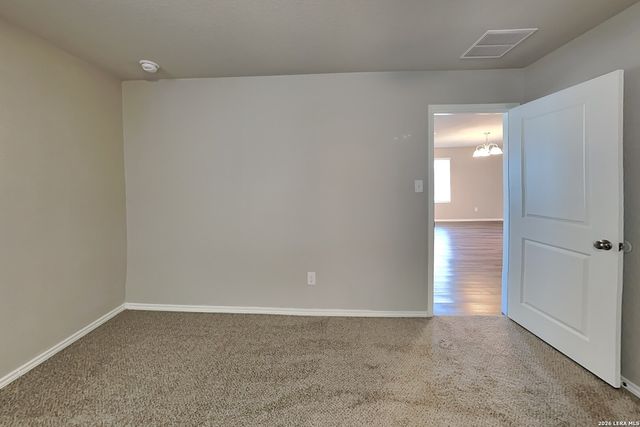 2431 Pechora Pipit, New Braunfels, TX 78130