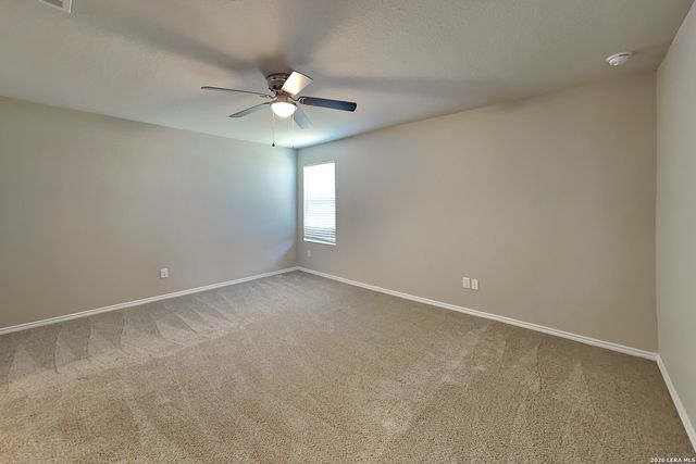 2431 Pechora Pipit, New Braunfels, TX 78130