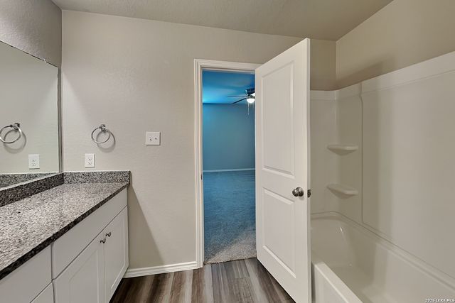 2431 Pechora Pipit, New Braunfels, TX 78130