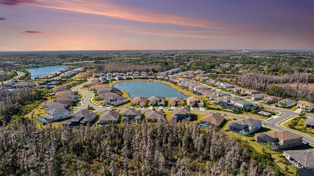 3263 JUNIPER SPRINGS STREET, Wesley Chapel, FL 33543