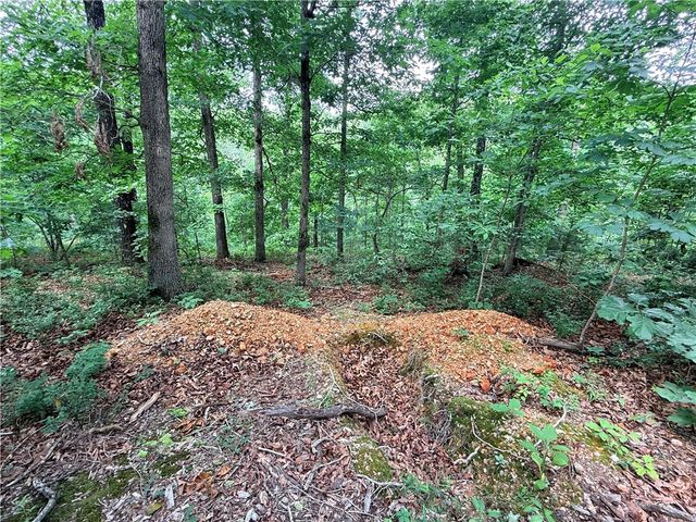 TBD Northampton Drive, Bella Vista, AR 72714