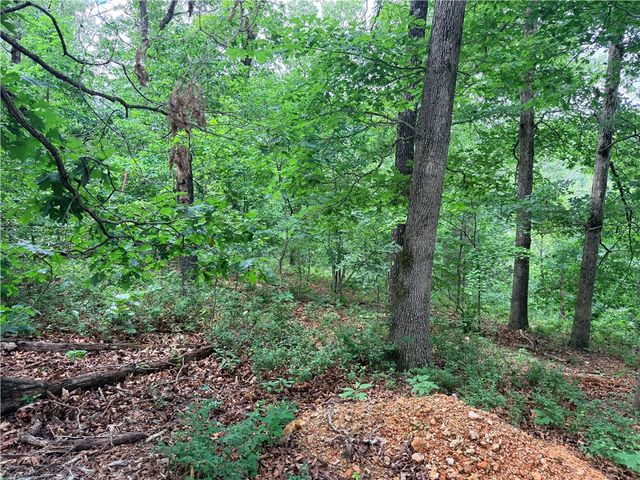 TBD Northampton Drive, Bella Vista, AR 72714