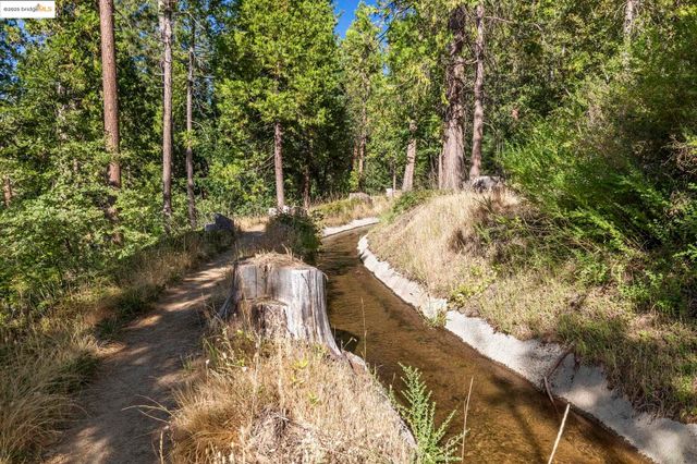 22693 Tamarack Dr, Twain Harte, CA 95383