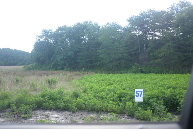 69 Bull Run, East Bernstadt, KY 40729