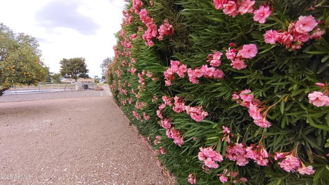 1033 S FLORENCE Drive, Mesa, AZ 85208