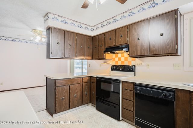 13894 Luroma Circle, Dewitt, MI 48820