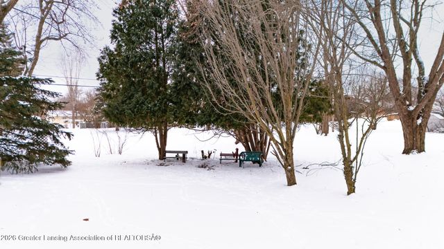 13894 Luroma Circle, Dewitt, MI 48820