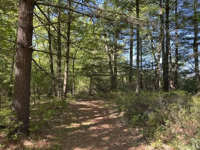 22 S Baldwin Resort Road, East Tawas, MI 48730