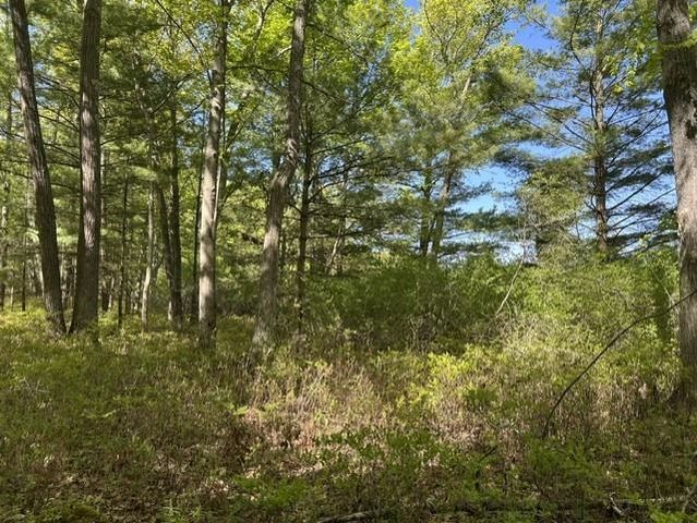 22 S Baldwin Resort Road, East Tawas, MI 48730