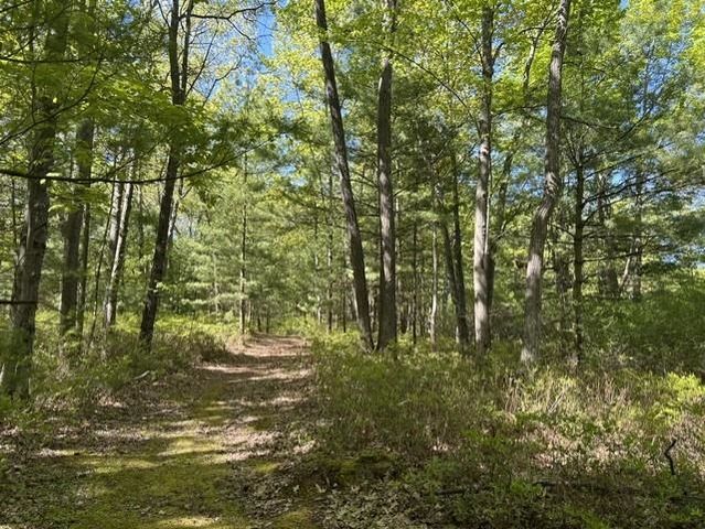 22 S Baldwin Resort Road, East Tawas, MI 48730