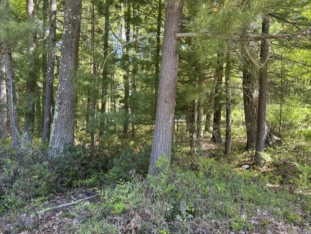 22 S Baldwin Resort Road, East Tawas, MI 48730