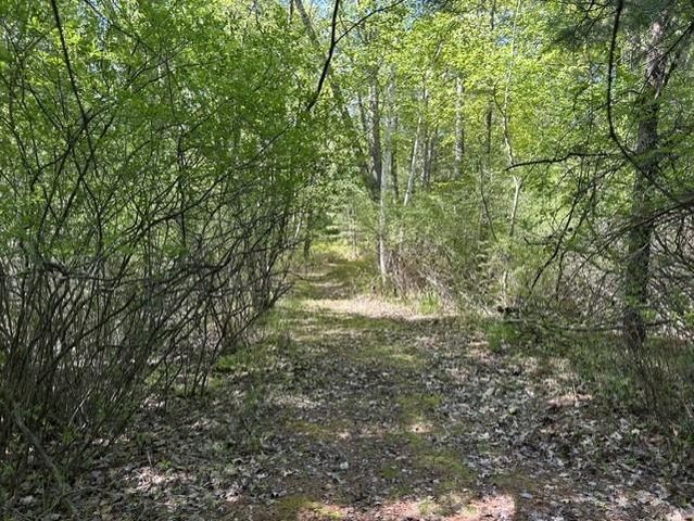 22 S Baldwin Resort Road, East Tawas, MI 48730
