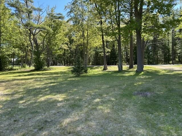 22 S Baldwin Resort Road, East Tawas, MI 48730