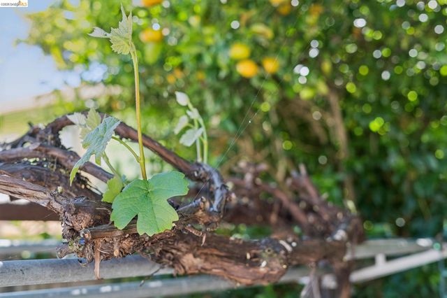 2328 Bartlett St, Oakland, CA 94601