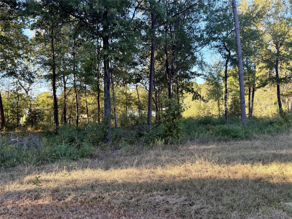 Lot 5 Rollingrock Drive, Livingston, TX 77351