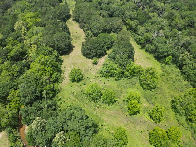 2388 Cedar View Lane, Bellville, TX 77418
