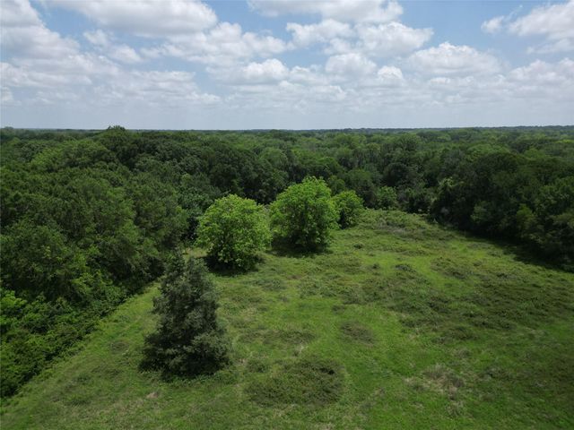 2388 Cedar View Lane, Bellville, TX 77418