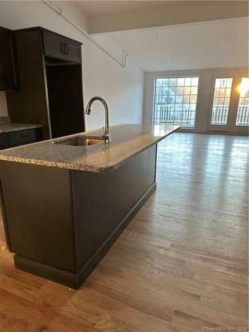 3 Banner Road 101, East Haddam, CT 06469