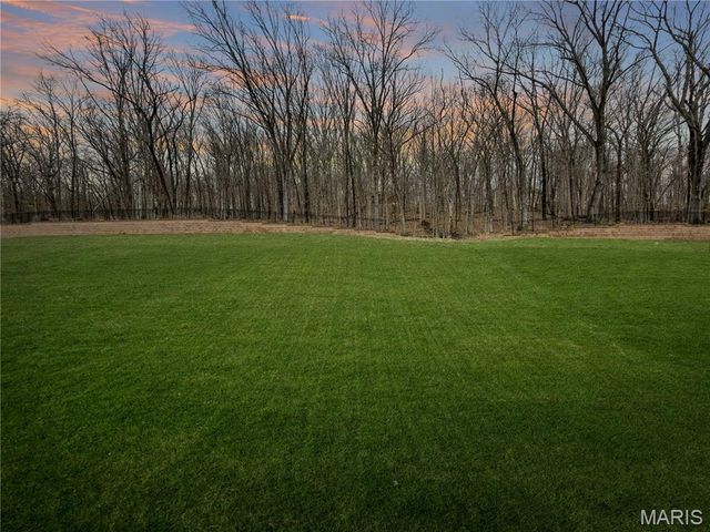 1647 Ridgefield Bluff Court, Eureka, MO 63025