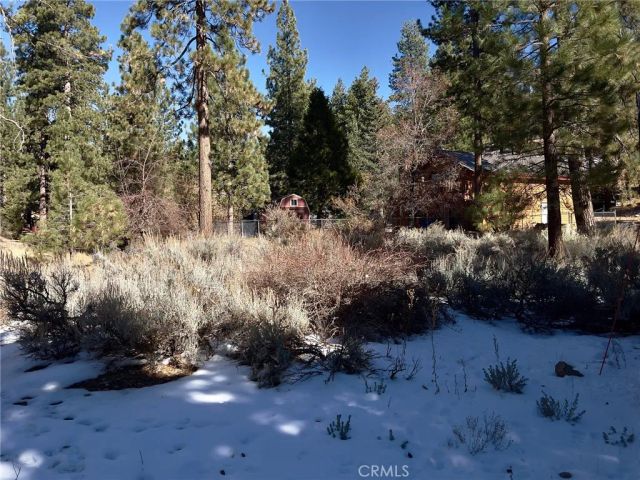 1 Canyon, Fawnskin, CA 92333