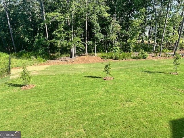 1780 Goodwin, Hampton, GA 30228