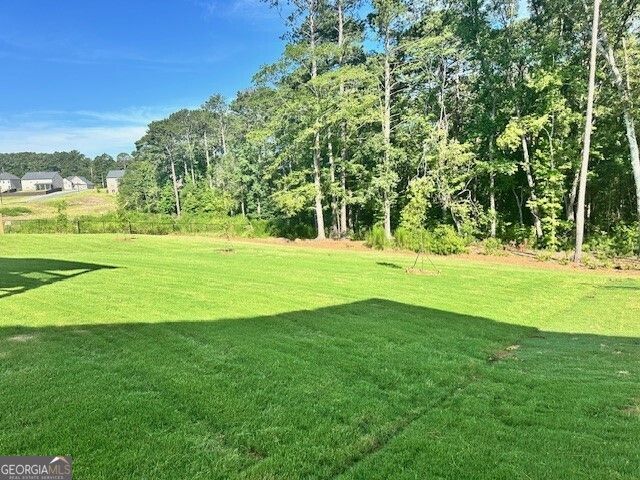 1780 Goodwin, Hampton, GA 30228