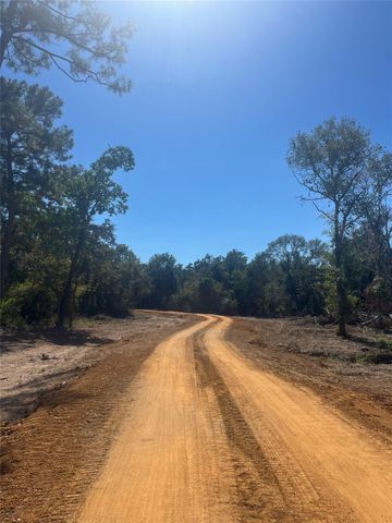 0 Nelson Road, Hempstead, TX 77445