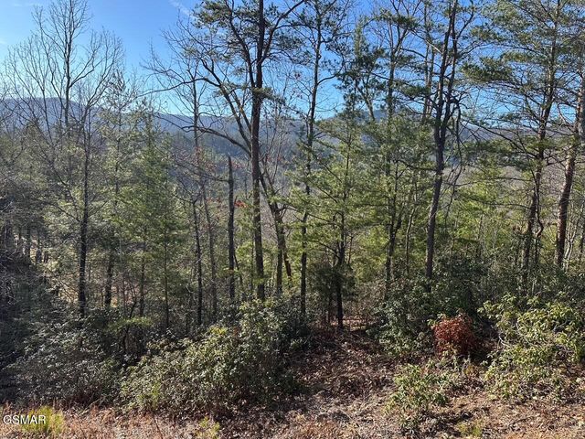 1306 Morning Dove Way, Sevierville, TN 37862