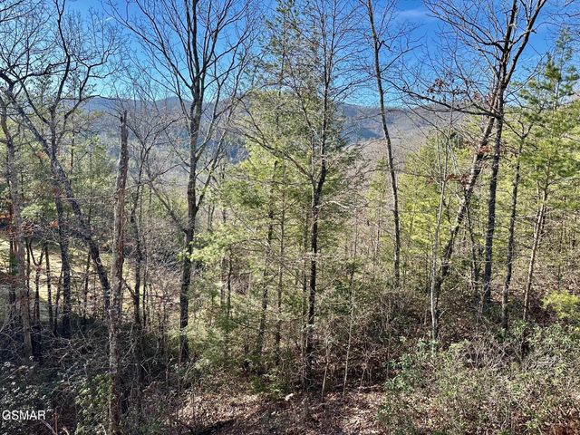 1306 Morning Dove Way, Sevierville, TN 37862