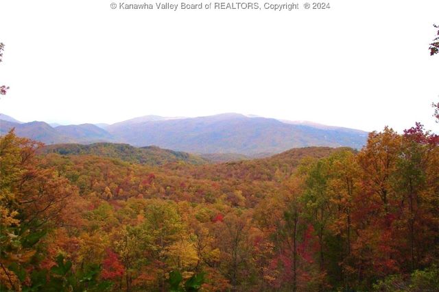 0 DRY BRANCH Road, Charleston, WV 25306