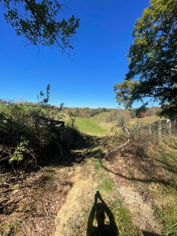 2494 Artville Road, Wellington, KY 40387