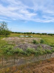 13520 Moody Road, Needville, TX 77461