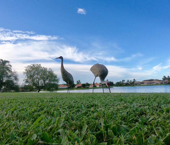 2590 Kittbuck Way, West Palm Beach, FL 33411