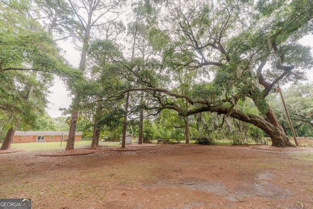503 Dyches Drive, Savannah, GA 31406