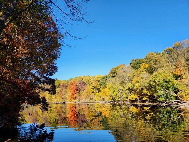 7544 Thornapple River Drive, Caledonia, MI 49316