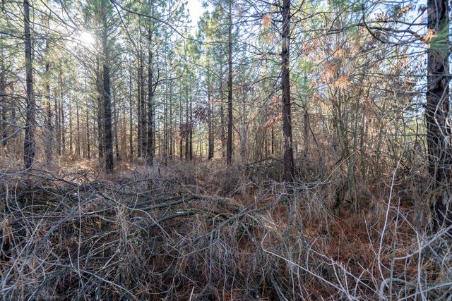 Lot 9 Moraine Way, Shingletown, CA 96088