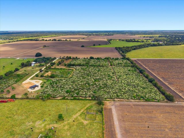 Lot 8 Cow Creek Road, Damon, TX 77430