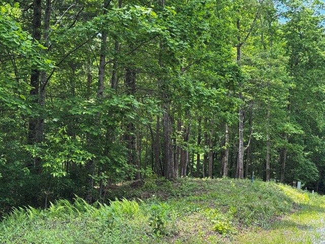 84 Cedar Road, Ellijay, GA 30540