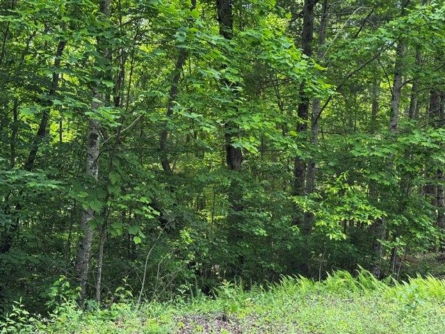 84 Cedar Road, Ellijay, GA 30540
