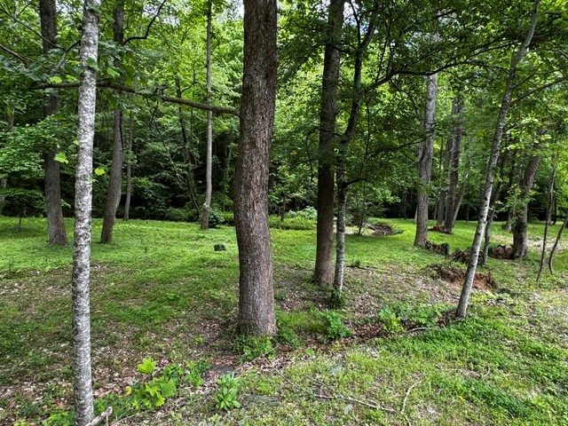 84 Cedar Road, Ellijay, GA 30540