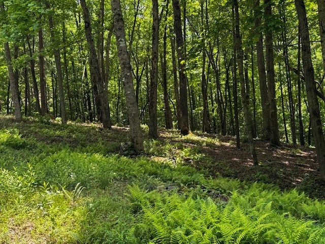 84 Cedar Road, Ellijay, GA 30540