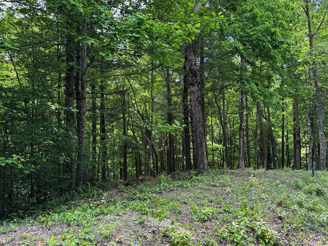 84 Cedar Road, Ellijay, GA 30540