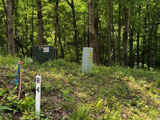 84 Cedar Road, Ellijay, GA 30540