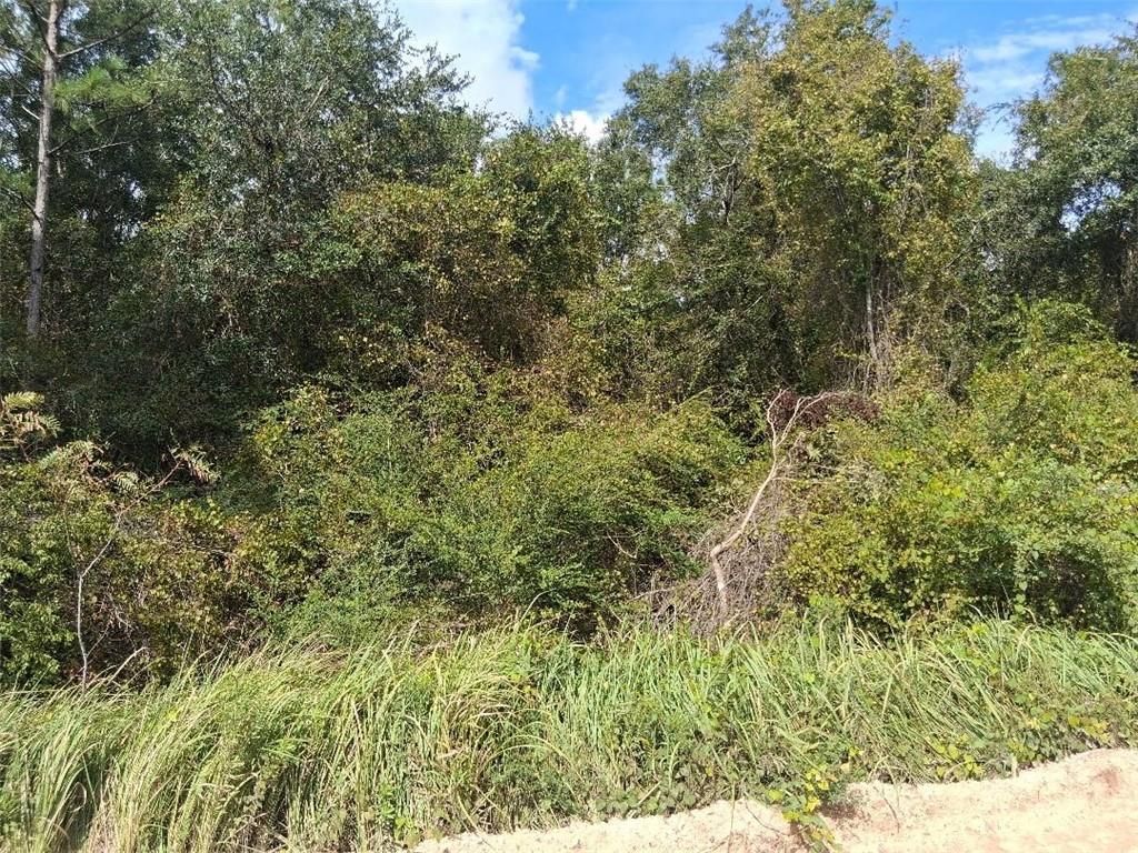 0 Marbels Road, Grand Bay, AL 36541 — photo 4
