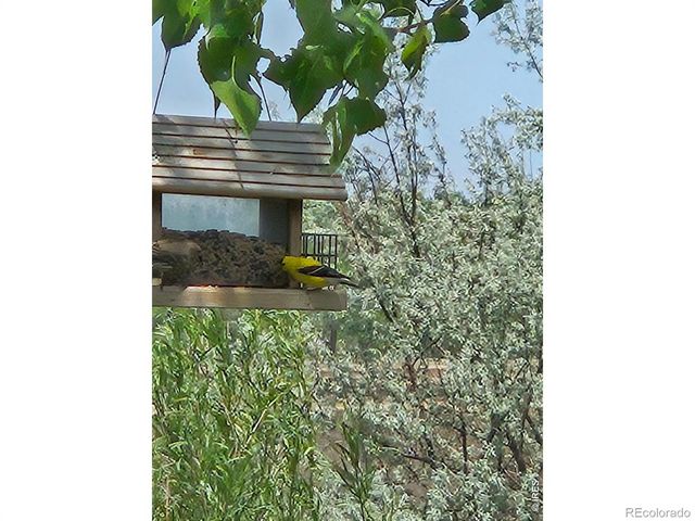 317 Sunset Drive, La Salle, CO 80645